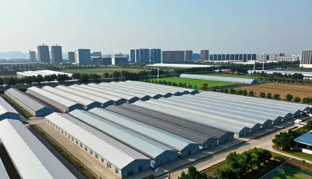 数据采集在本地化管理中的关键作用与实际应用